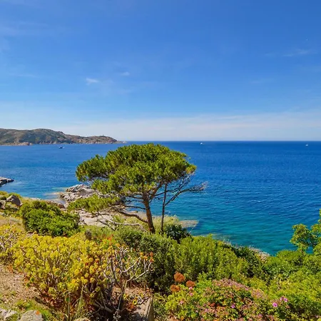 아파트 Gorgeous Apartment In Calvi With Wifi *